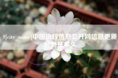 阜阳中国执行信息公开网信息更新时间是多久