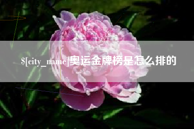 阜阳奥运金牌榜是怎么排的
