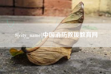 阜阳中国消防救援教育网
