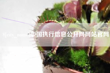 阜阳中国执行信息公开网网站官网