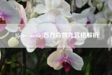 阜阳西方命数九宫格解析