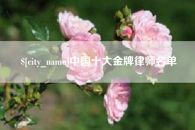 阜阳中国十大金牌律师名单