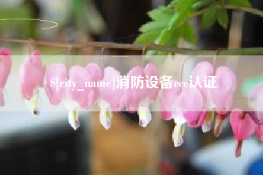 阜阳消防设备ccc认证