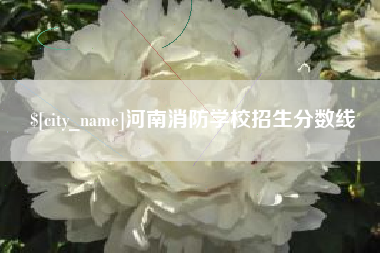 阜阳河南消防学校招生分数线