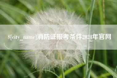 阜阳消防证报考条件2024年官网