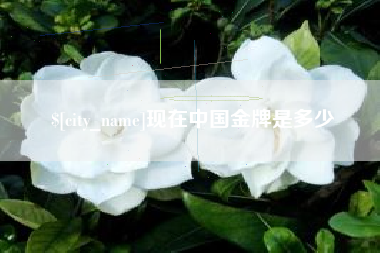 阜阳现在中国金牌是多少