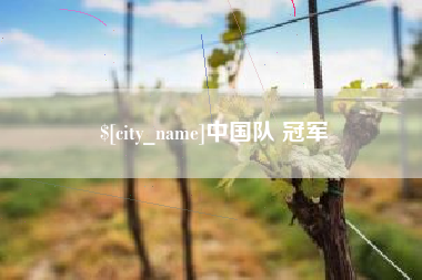 阜阳中国队 冠军