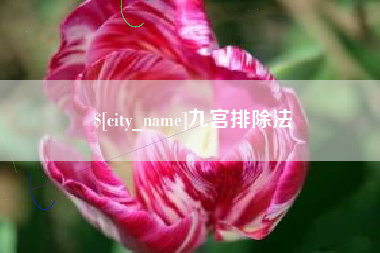 阜阳九宫排除法