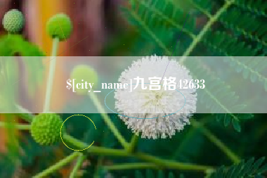 阜阳九宫格42633