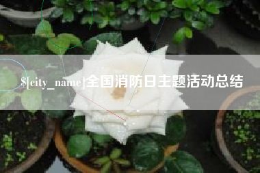 阜阳全国消防日主题活动总结