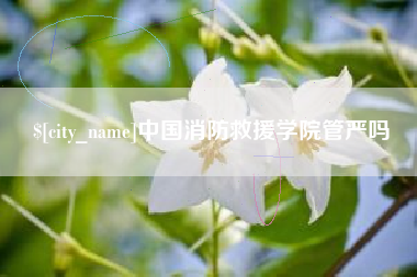 阜阳中国消防救援学院管严吗