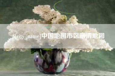 阜阳中国地图市区高清地图