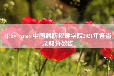 阜阳中国消防救援学院2021年各省录取分数线