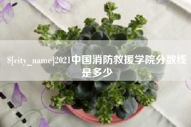 阜阳2021中国消防救援学院分数线是多少