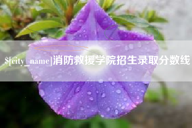 阜阳消防救援学院招生录取分数线