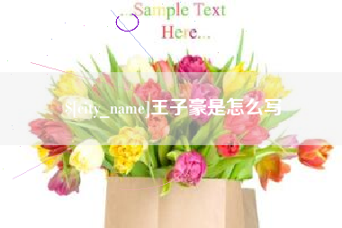 阜阳王子豪是怎么写