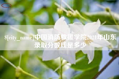 阜阳中国消防救援学院2021年山东录取分数线是多少