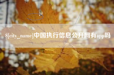 阜阳中国执行信息公开网有app吗