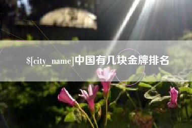 阜阳中国有几块金牌排名