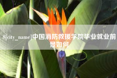阜阳中国消防救援学院毕业就业前景如何