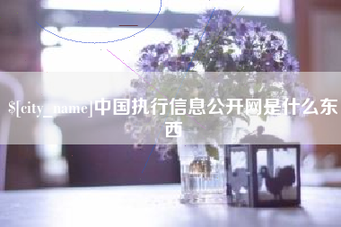 阜阳中国执行信息公开网是什么东西