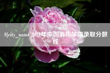 阜阳2021年中国消防学院录取分数线