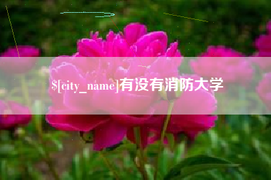 阜阳有没有消防大学