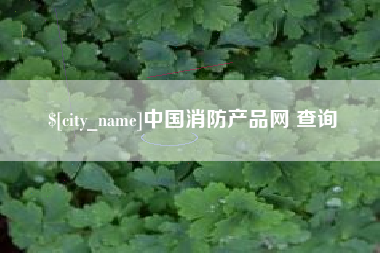 阜阳中国消防产品网 查询
