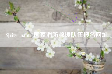 阜阳国家消防救援队伍报名网址