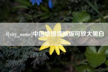 阜阳中国地图清晰版可放大黑白