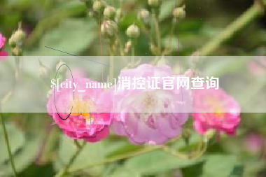 阜阳消控证官网查询