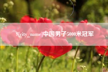 阜阳中国男子5000米冠军
