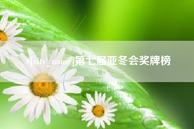 阜阳第七届亚冬会奖牌榜