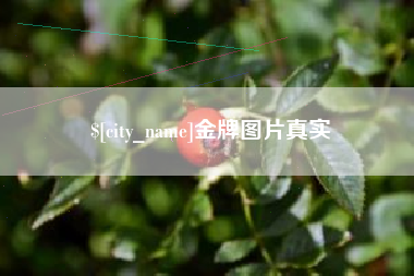 阜阳金牌图片真实