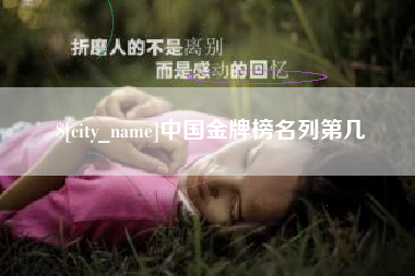 阜阳中国金牌榜名列第几