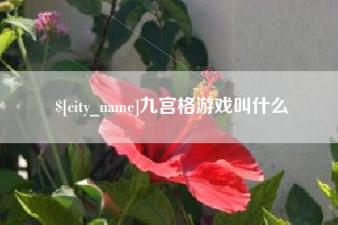 阜阳九宫格游戏叫什么