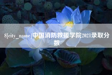 阜阳中国消防救援学院2021录取分数