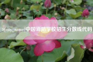 阜阳中国消防学校招生分数线代码