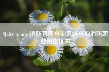 阜阳消防官网查询系统查询消防职业资格证书