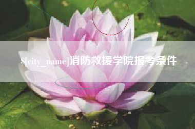 阜阳消防救援学院报考条件