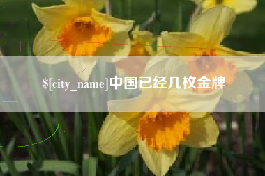 阜阳中国已经几枚金牌
