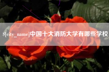 阜阳中国十大消防大学有哪些学校