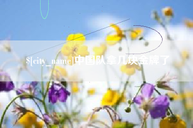 阜阳中国队拿几块金牌了