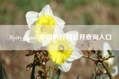 阜阳中国执行网公开查询入口