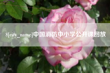 阜阳中国消防中小学公开课回放