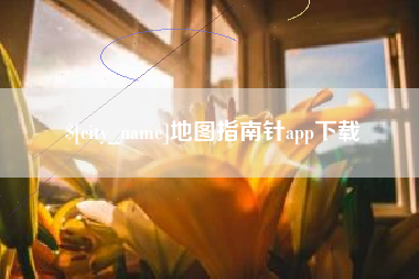 阜阳地图指南针app下载