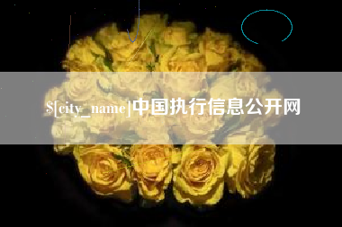 阜阳中国执行信息公开网