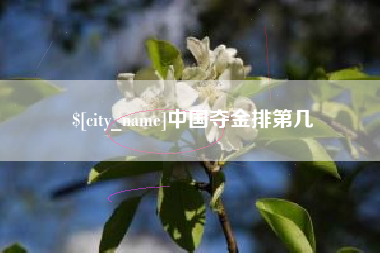 阜阳中国夺金排第几