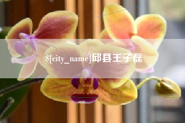阜阳邱县王子磊