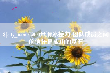 阜阳5000米滑冰接力-团队成员之间的信任是成功的基石